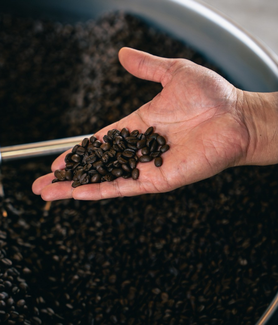 LINE_ALBUM_東風株式会社_素材2_251016_65