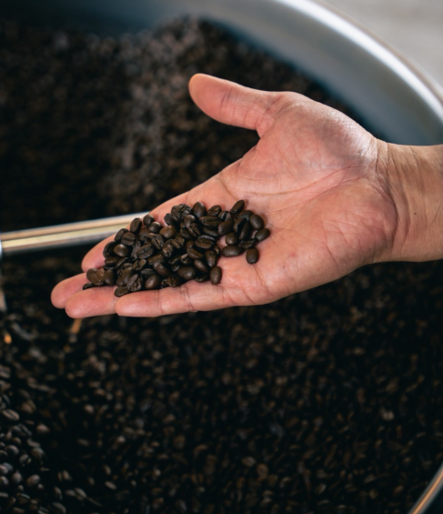 LINE_ALBUM_東風株式会社_素材2_251016_65